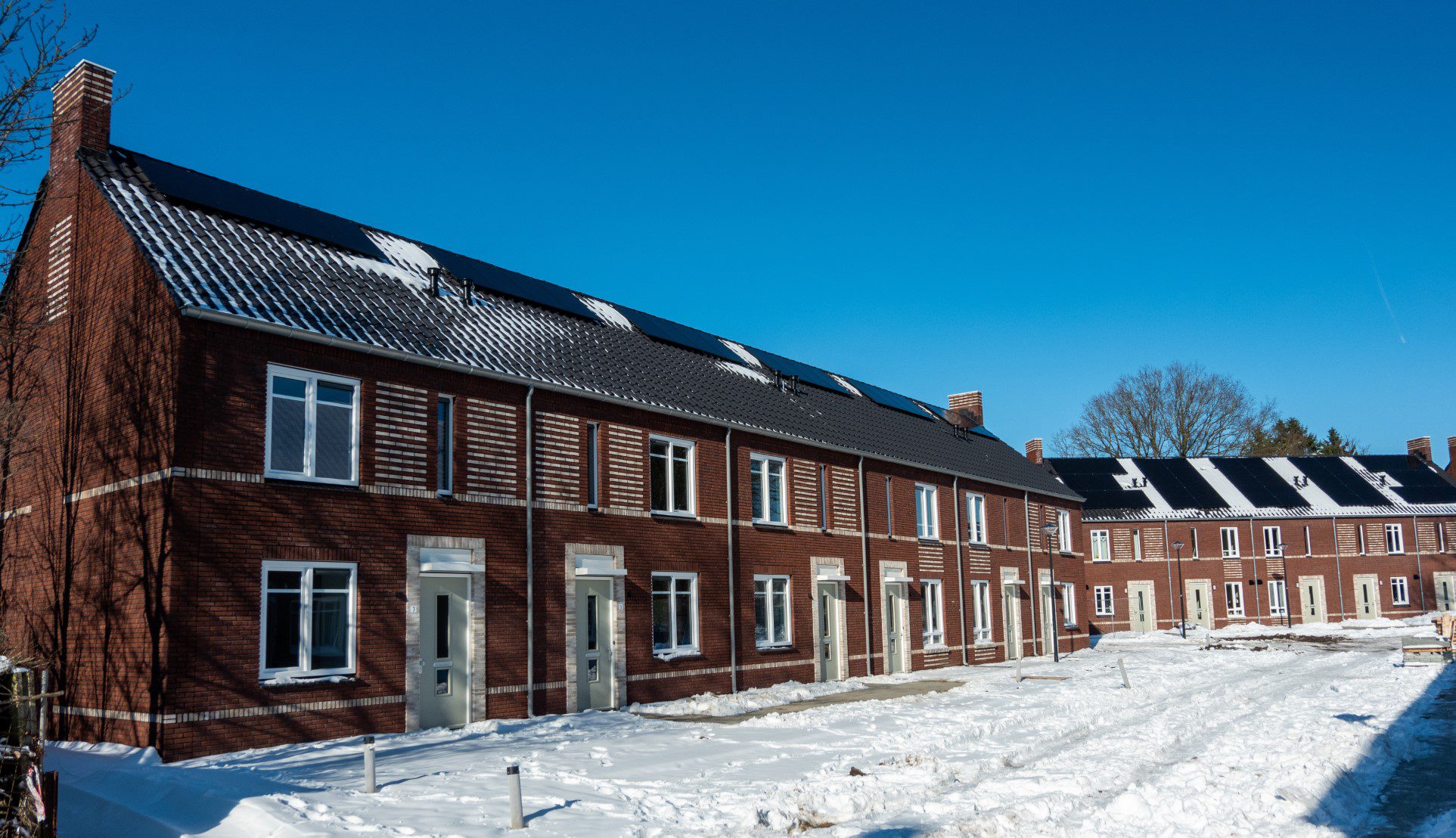 De nieuwe woningen voor Vastwas (voorgrond) en Area (achtergrond) aan Zuster Theodardahof.