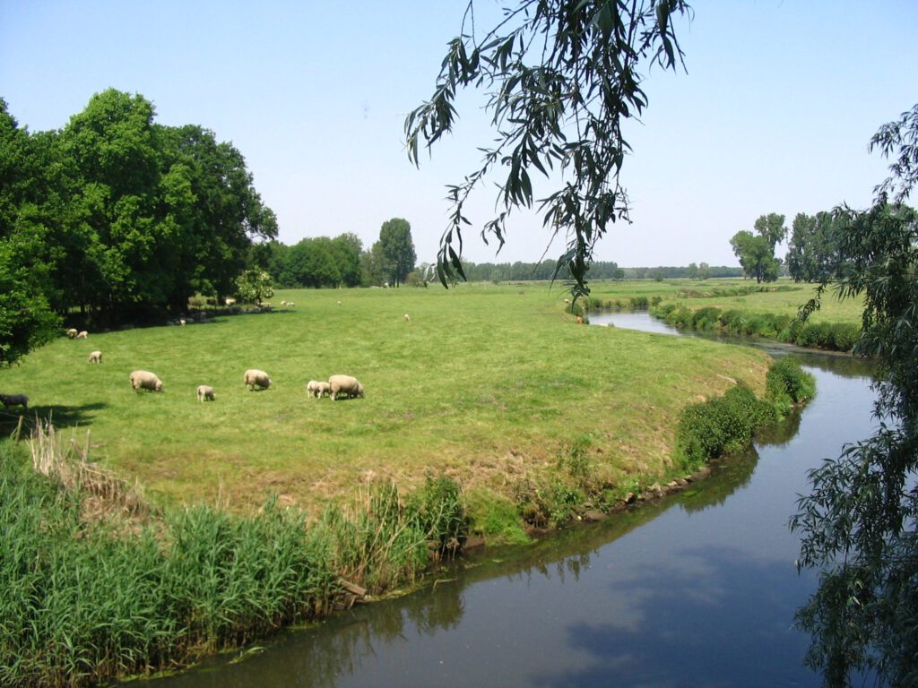 Dommel Son en Breugel