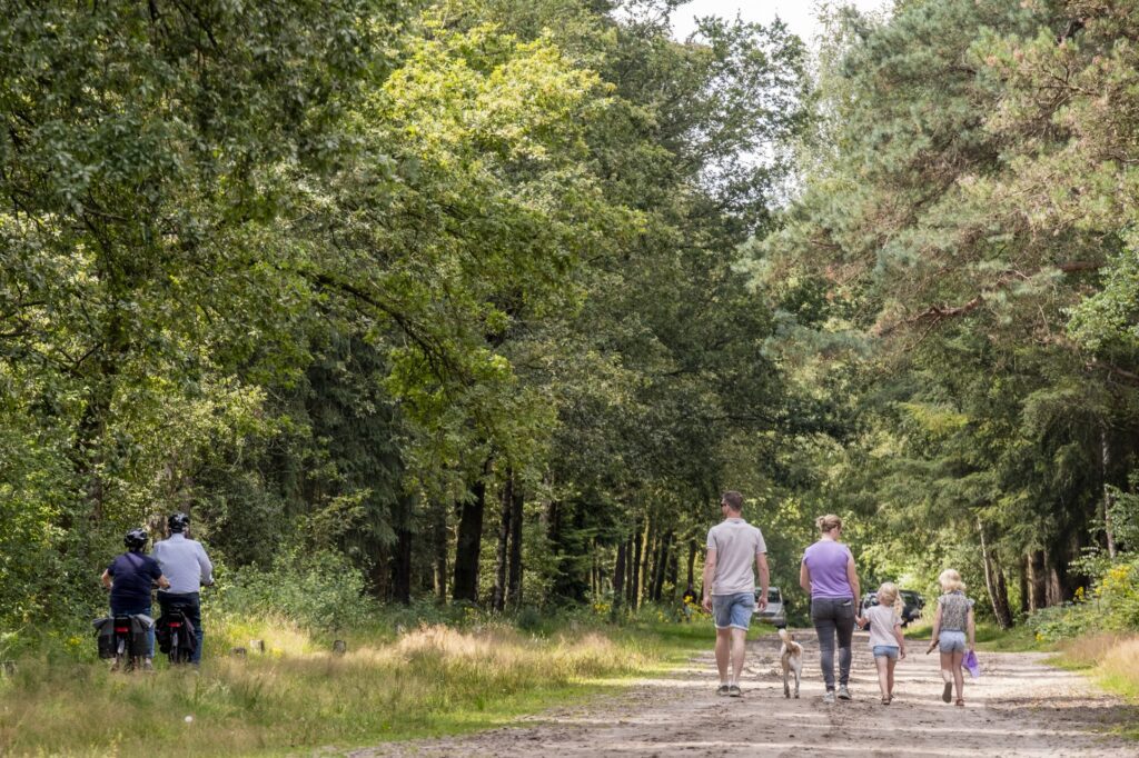 Gelderakkers Beekse Dreef Hilvarenbeek