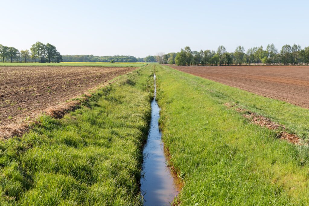 Gelderakkers Beekse Dreef Hilvarenbeek